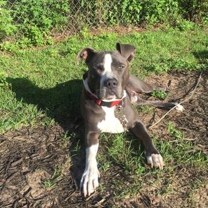 Meet your Posher, Edwina